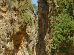 Samaria Gorge